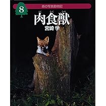 肉食獣 (森の写真動物記 8) | 宮崎 学 |本 | 通販 | Amazon